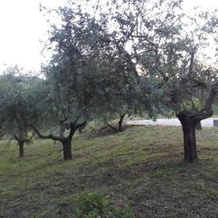 Bed & Breakfast Ciocca, 费拉扎诺 — 照片 4