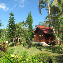 Thai Loei 300 Pee Resort, 普鲁阿 — 照片 4