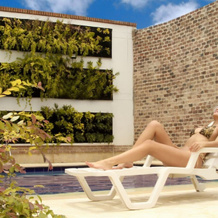 Hotel San Angel 2, 圣菲德安蒂奥基亚 — 照片 5