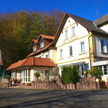Hotel Elfenberg, Schieder-Schwalenberg — photo 2