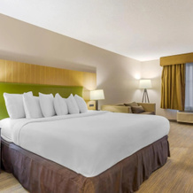 Country Inn & Suites by Radisson, Newport News South, VA, 纽波特纽斯 — 照片 4