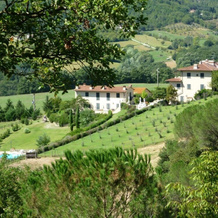 Vigneto Rimaggio, Дикомано — фото 3
