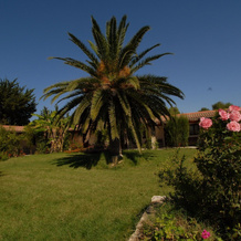 Agriturismo S'Anea, 廖拉萨尔多 — 照片 3