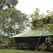 Amazon Lake Lodge, Careiro — photo 2