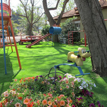 Golan Rooms at Sagi Farm, Ramot — photo 5