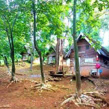 Jungle Guest House, Панг Мапха — фото 3