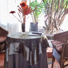 Always Welcome At Welcome Inn, 伯诺尼 — 照片 3