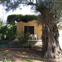 Lefkas house with garden, 祖卡拉德斯 — 照片 5