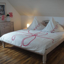 Apartment Rose, 贝尔马廷根 — 照片 2