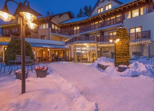 Hotel SLUNECNA LOUKA, Lipno nad Vltavou — photo 1