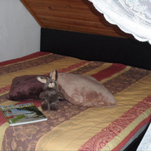 Frieslands Ferienwohnung, Бокхорн — фото 3