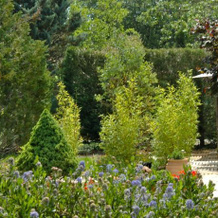 Guest House Les Eissaletes, Котиньяк — фото 3