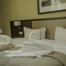 Hotel Pullman Lubumbashi Grand Karavia, Лубумбаши — фото 2