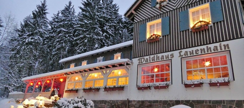 Waldhaus Lauenhain, Митвайда — фото 1