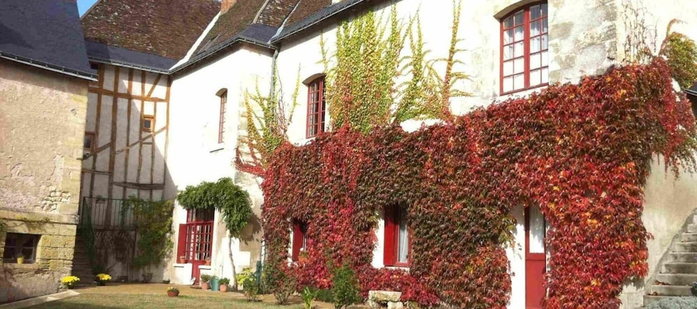 Le Moulin des Landes, 韦尔努-叙尔-布伦 — 照片 1