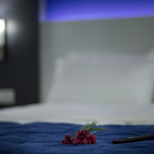 Cavit Duvan Prestige Hotel, Edirne — photo 4