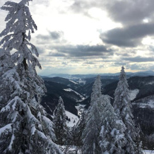 Schwarzwaldglück, Шлухзее — фото 2