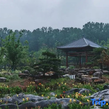 Huainan State Guest Hotel, Huainan — photo 3