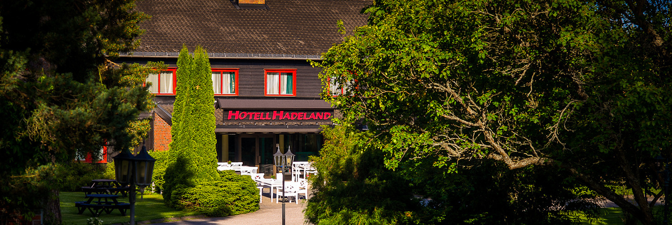 Hotell Hadeland, Грен — фото 1