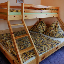 Apartmany Železná Ruda, 热莱兹纳鲁达 — 照片 4