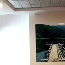 Beyaz Saray Hotel, 霍帕 — 照片 2