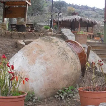 Agriturismo Il Casale 1882, Reitano — photo 3