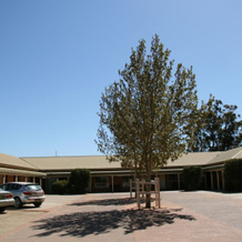 Country Gardens Motor Inn, 考拉 — 照片 4