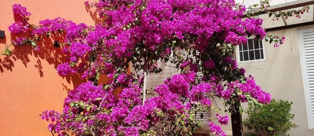 Pousada das Orquídeas, Chapada dos Guimarães — photo 1