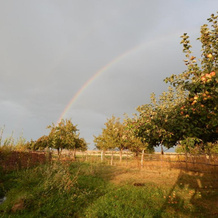 Jurten Camp Almaluu, Ton — photo 5