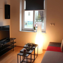 Apartment Na skali, Kranj — photo 5