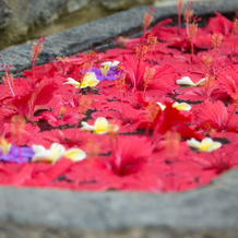 Roman Lake Ayurveda Resort Hotel, 阿洪加拉 — 照片 5