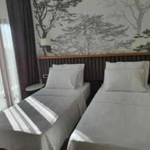 Double Royal Hotel, Дарыджа — фото 4
