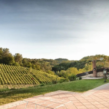 Vineyard House Noceto Michelotti, Castel Boglione — photo 4