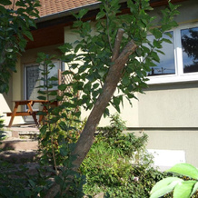 Appartement Sur La Route Des Vins, Серне — фото 4