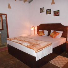 360 Rainforest, Poddana — photo 3