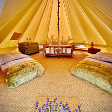 Bluebell Bell Tent - 20 Acres Of Natural Beauty, Вулфс Касл — фото 3