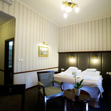 Hotel Golden Eagle, Левице — фото 5