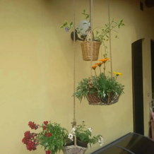 Pietra & Glicine Guest House, 蒙苏马诺泰尔梅 — 照片 5