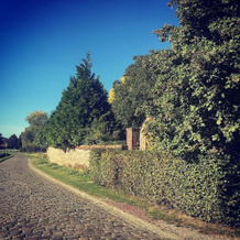 Le Clos de Bénédicte, 邦杜 — 照片 5