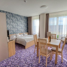 Hotel Vinice Hnanice, 赫纳尼采 — 照片 5