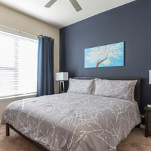 Elan Med Center 544 Apart-Hotel, 休斯顿 — 照片 4