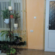 Ariadna Guest House, 梅日沃德诺耶 — 照片 3