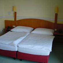 Fischwirtshaus Landmotel Die Donaurast, 多瑙河畔伊布斯 — 照片 4