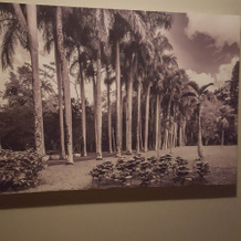 Royal Park Mauritius, Балаклава — фото 4
