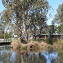 Victoria Lake Holiday Park, 谢珀顿 — 照片 3