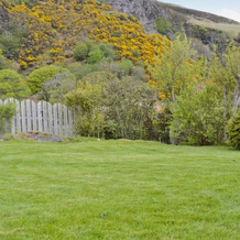 Rams Cottage, Glenelg — photo 4