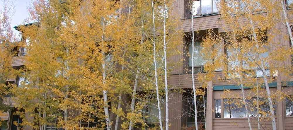 Homestake Condos, Вейл — фото 1