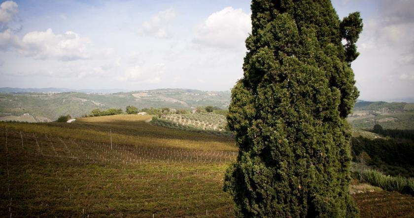 La Casa di Teresa B&B, Monte Castello di Vibio — photo 1