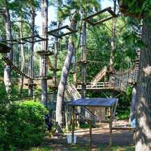 Shelby Farms Greenline Access: Modern Cordova Home, 孟菲斯 — 照片 4