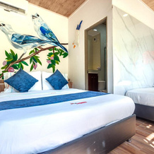 Chunuu Hostal y Glamping Minca, 明卡 — 照片 3